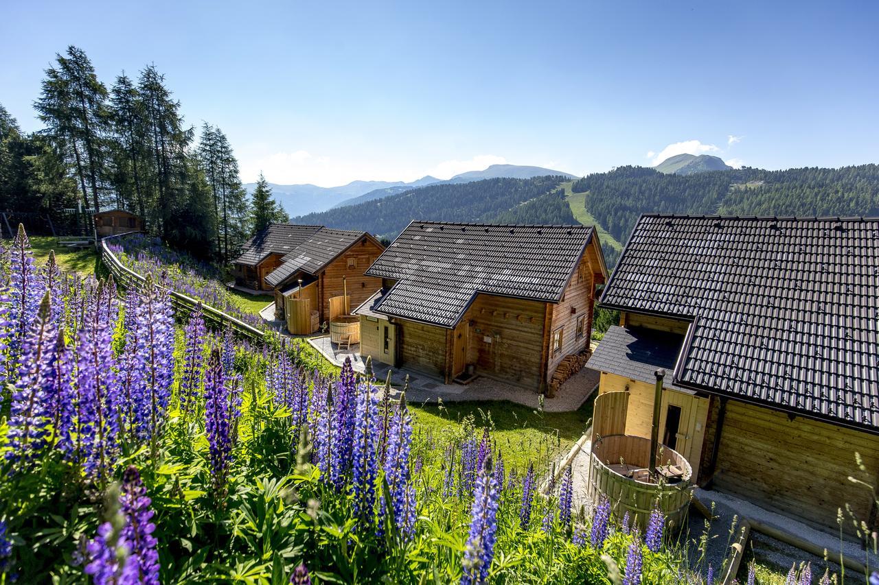 Chalet Almhuttendorf Turrach Turracher Hohe Βίλα Εξωτερικό φωτογραφία